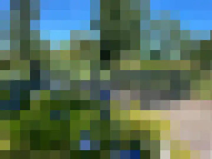 De Feart 51 Drachtstercompagnie thumbnail 113