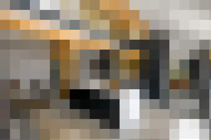 De Feart 51 Drachtstercompagnie thumbnail 15
