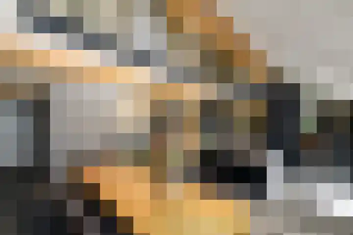De Feart 51 Drachtstercompagnie thumbnail 23