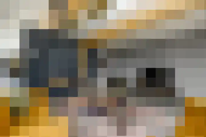 De Feart 51 Drachtstercompagnie thumbnail 28