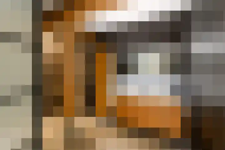 De Feart 51 Drachtstercompagnie thumbnail 32