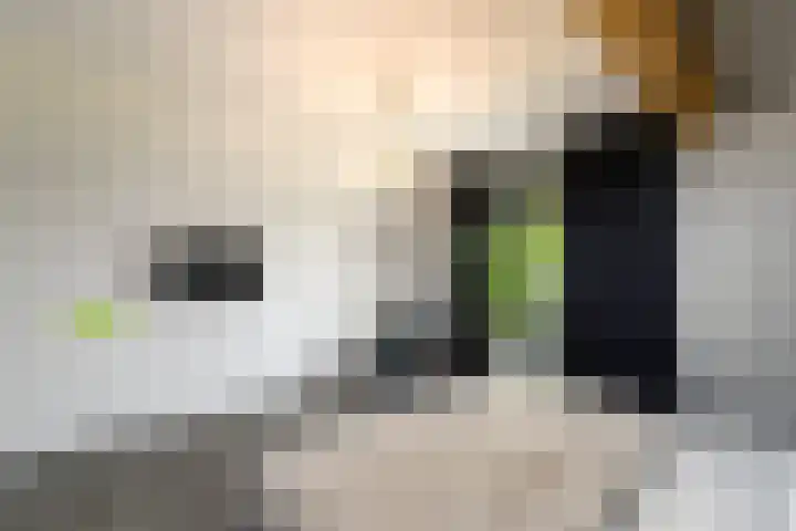 De Feart 51 Drachtstercompagnie thumbnail 37