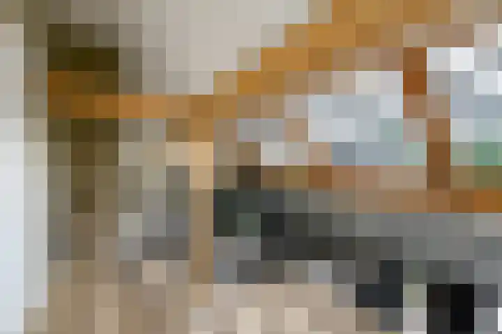 De Feart 51 Drachtstercompagnie thumbnail 41