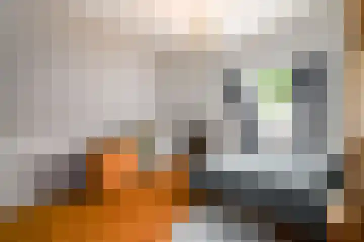 De Feart 51 Drachtstercompagnie thumbnail 45