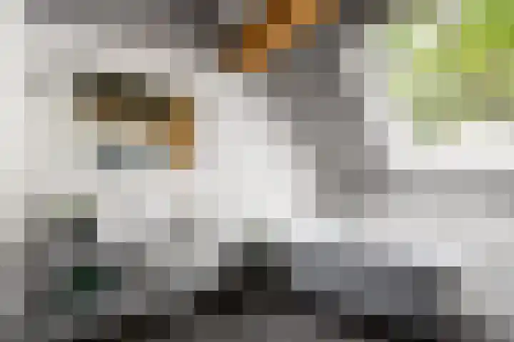 De Feart 51 Drachtstercompagnie thumbnail 47
