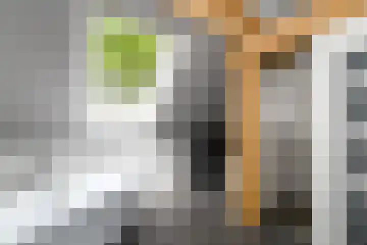 De Feart 51 Drachtstercompagnie thumbnail 49