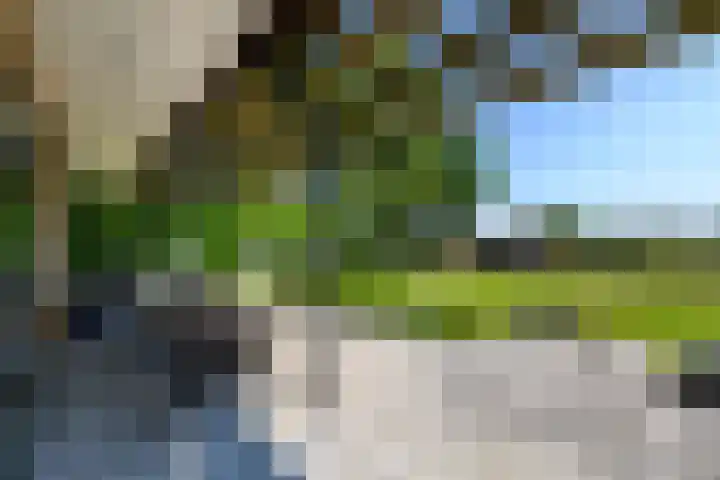 De Feart 51 Drachtstercompagnie thumbnail 64