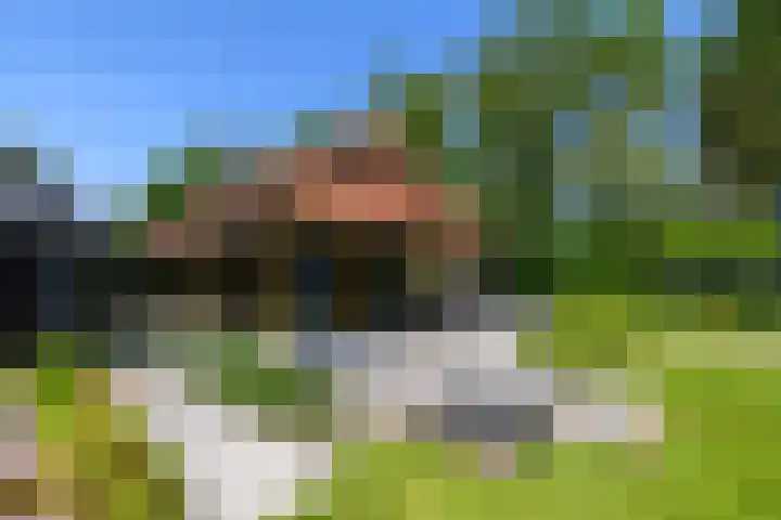 De Feart 51 Drachtstercompagnie thumbnail 66