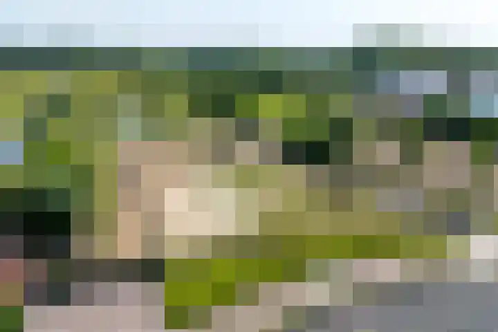 De Feart 51 Drachtstercompagnie thumbnail 77