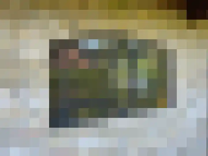 De Feart 51 Drachtstercompagnie thumbnail 87