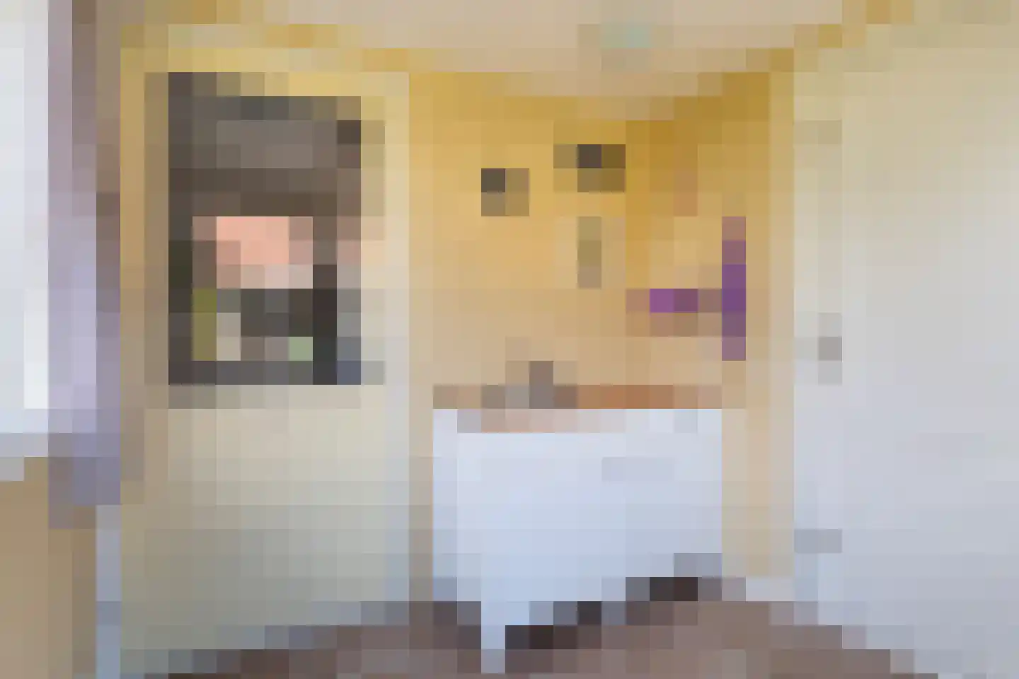 De Feartswâl 7 Minnertsga thumbnail 20
