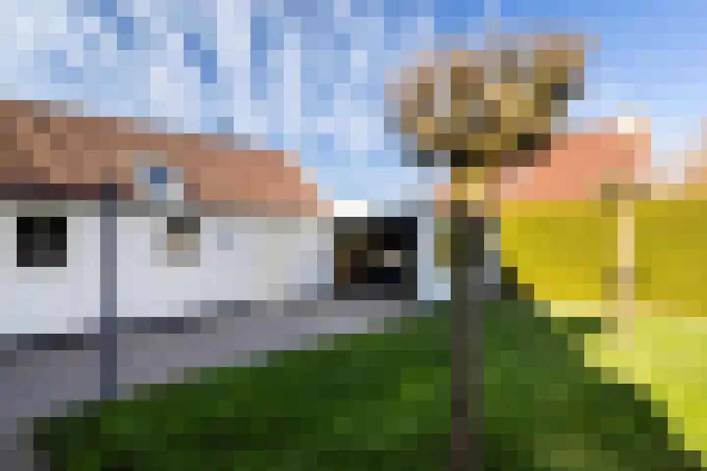 De Feartswâl 7 Minnertsga thumbnail 33