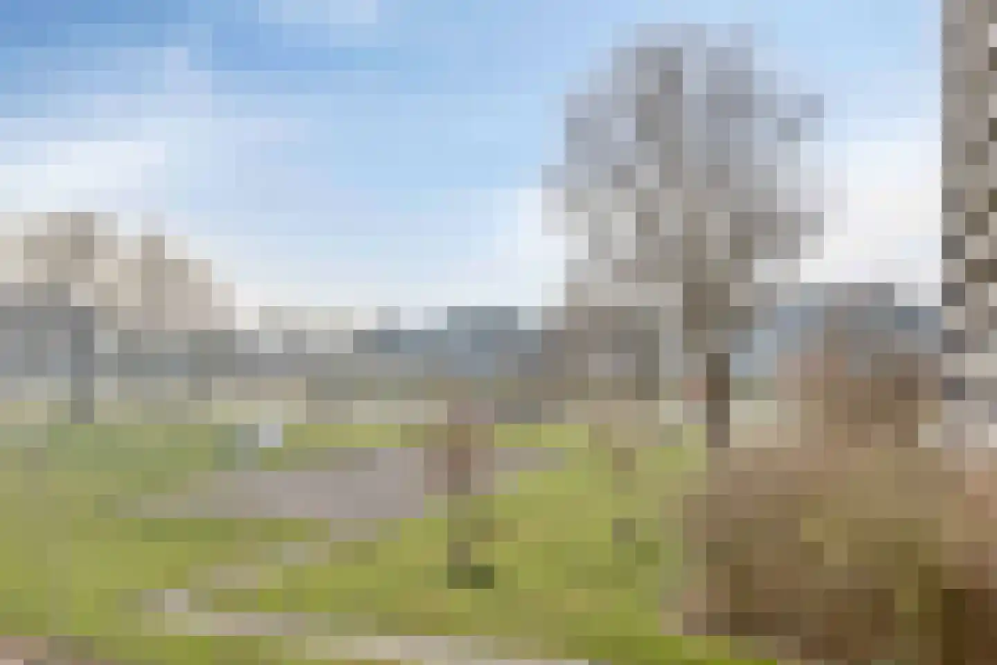 de Fennen 246 Leeuwarden thumbnail 19