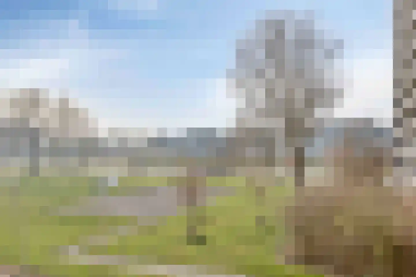 de Fennen 246 Leeuwarden thumbnail 19