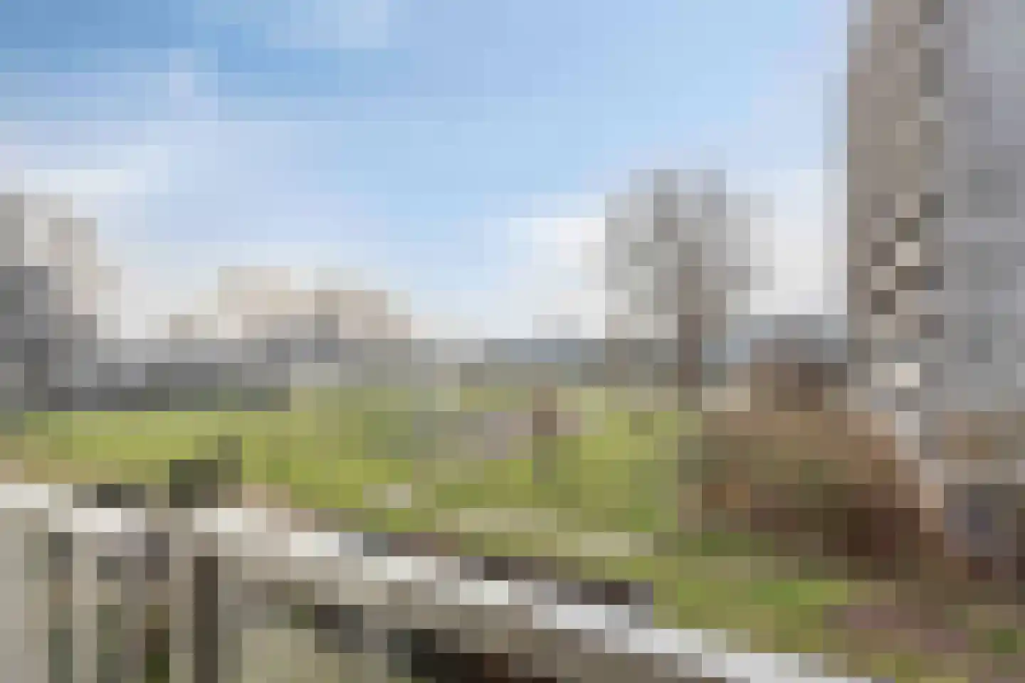 de Fennen 246 Leeuwarden thumbnail 20