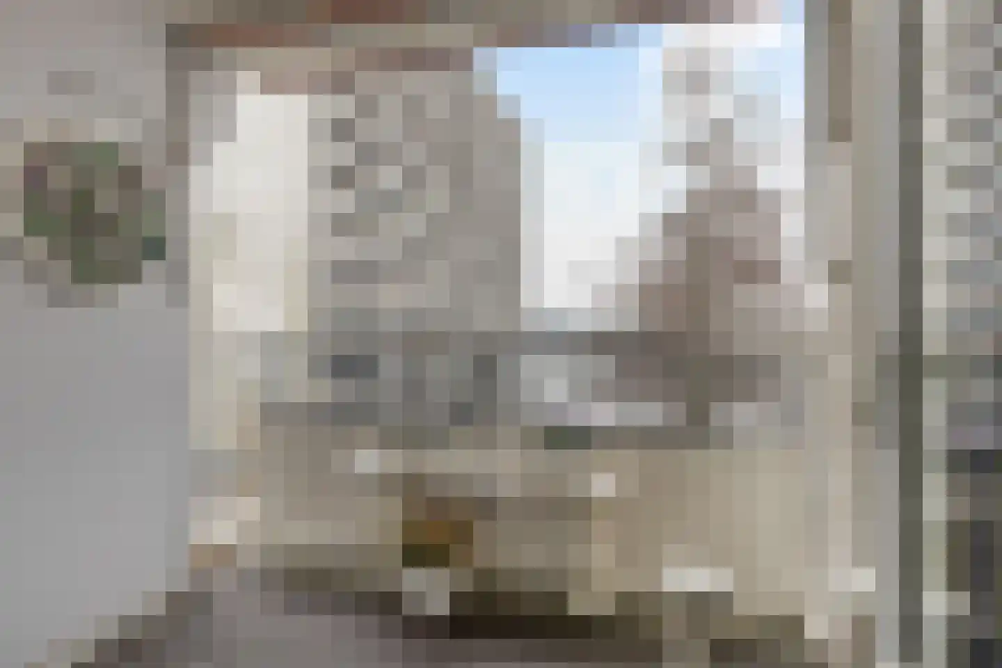 de Fennen 262 Leeuwarden thumbnail 24