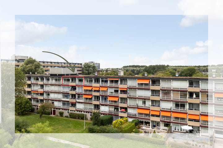 de Fennen 290 in Leeuwarden photo