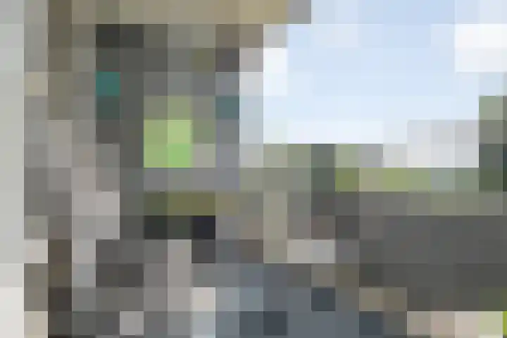 de Fennen 290 Leeuwarden thumbnail 24