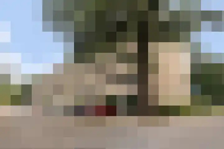 de Fennen 290 Leeuwarden thumbnail 43