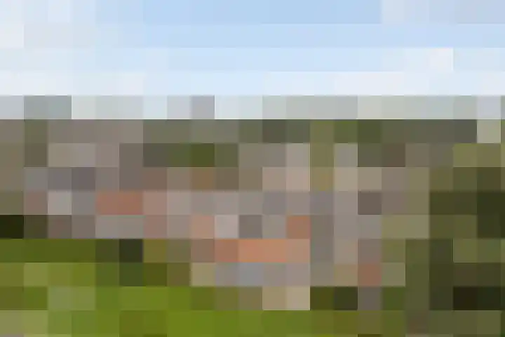 de Fennen 290 Leeuwarden thumbnail 47