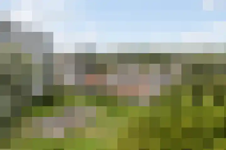 de Fennen 290 Leeuwarden thumbnail 49