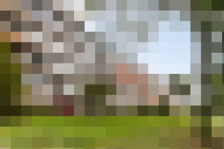 de Fennen 290 Leeuwarden thumbnail 5