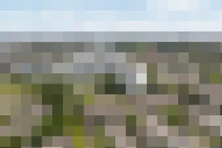de Fennen 290 Leeuwarden thumbnail 51