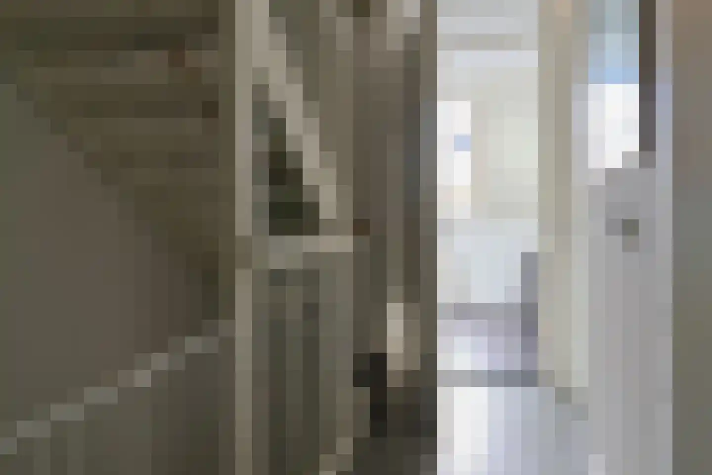 de Fennen 388 Leeuwarden thumbnail 41