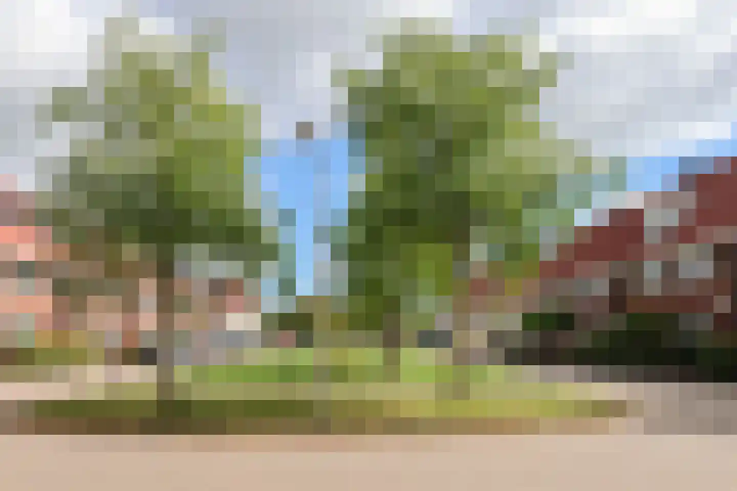 de Fennen 388 Leeuwarden thumbnail 59