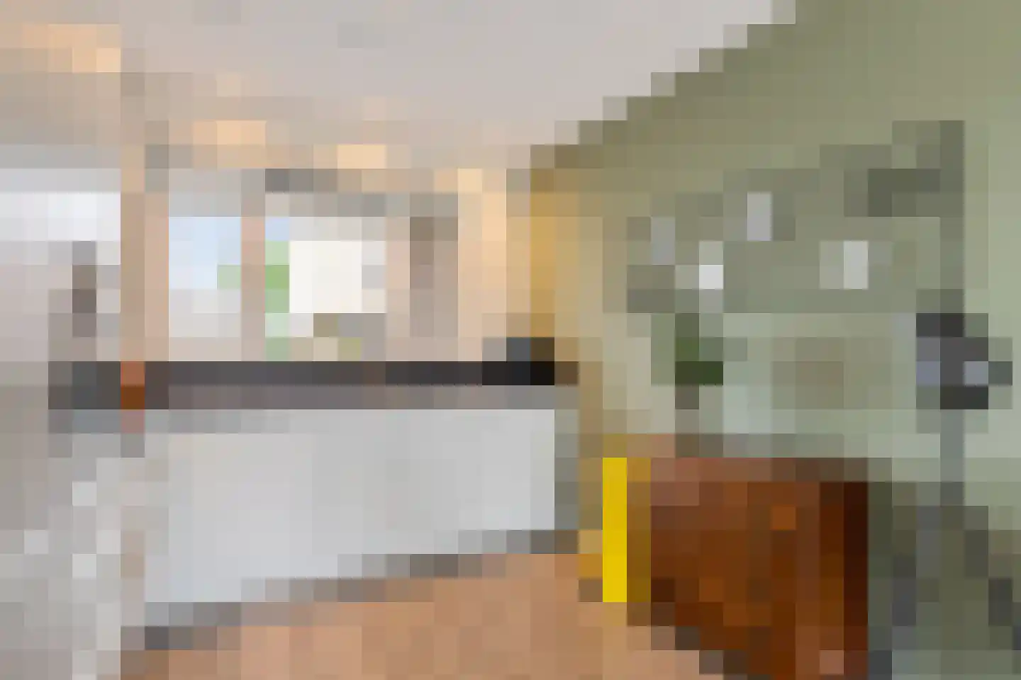 De Fink 1 Joure thumbnail 17