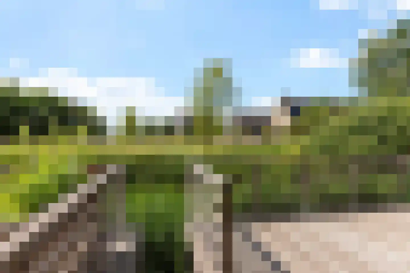 De Fink 1 Joure thumbnail 42