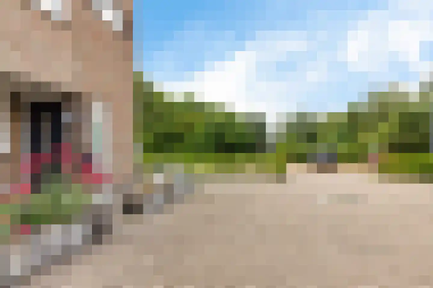 De Fink 1 Joure thumbnail 43