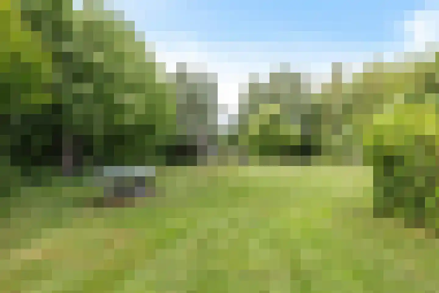 De Fink 1 Joure thumbnail 45