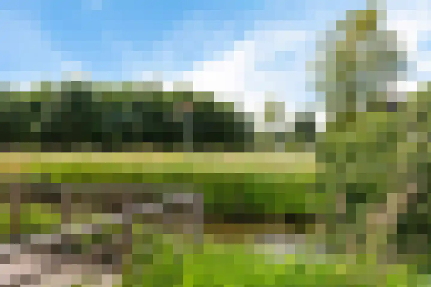 De Fink 1 Joure thumbnail 5