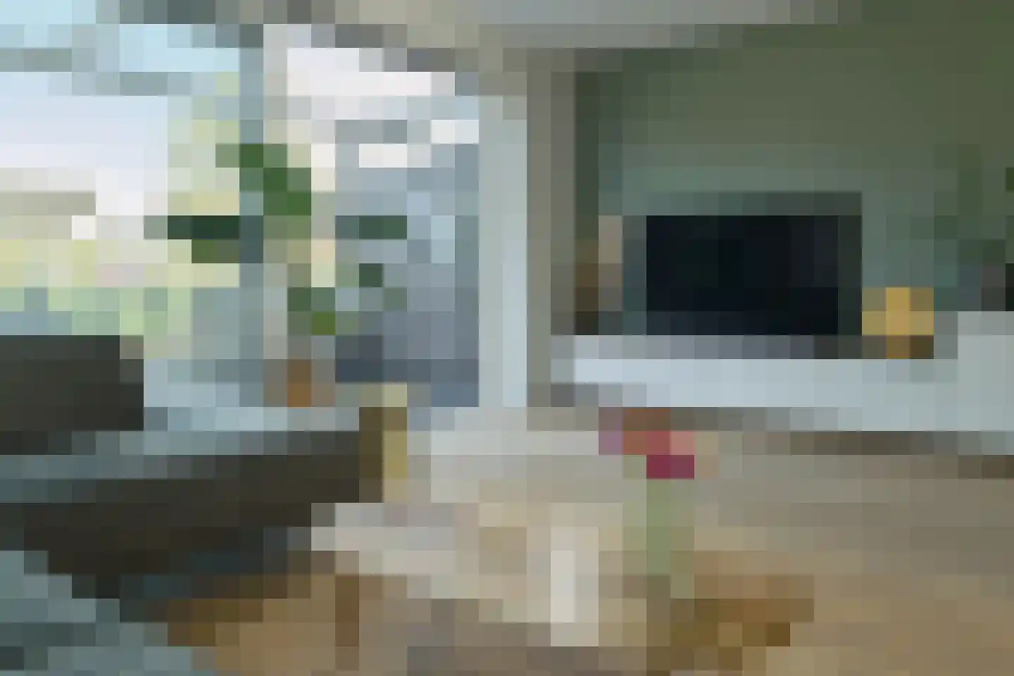 De Fink 3 Joure thumbnail 17