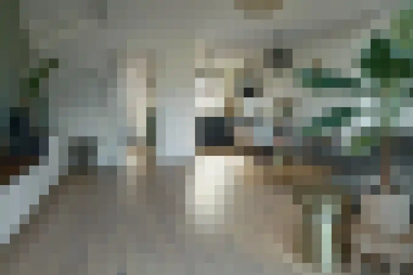 De Fink 3 Joure thumbnail 21