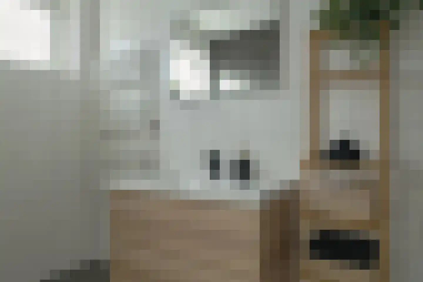 De Fink 3 Joure thumbnail 26