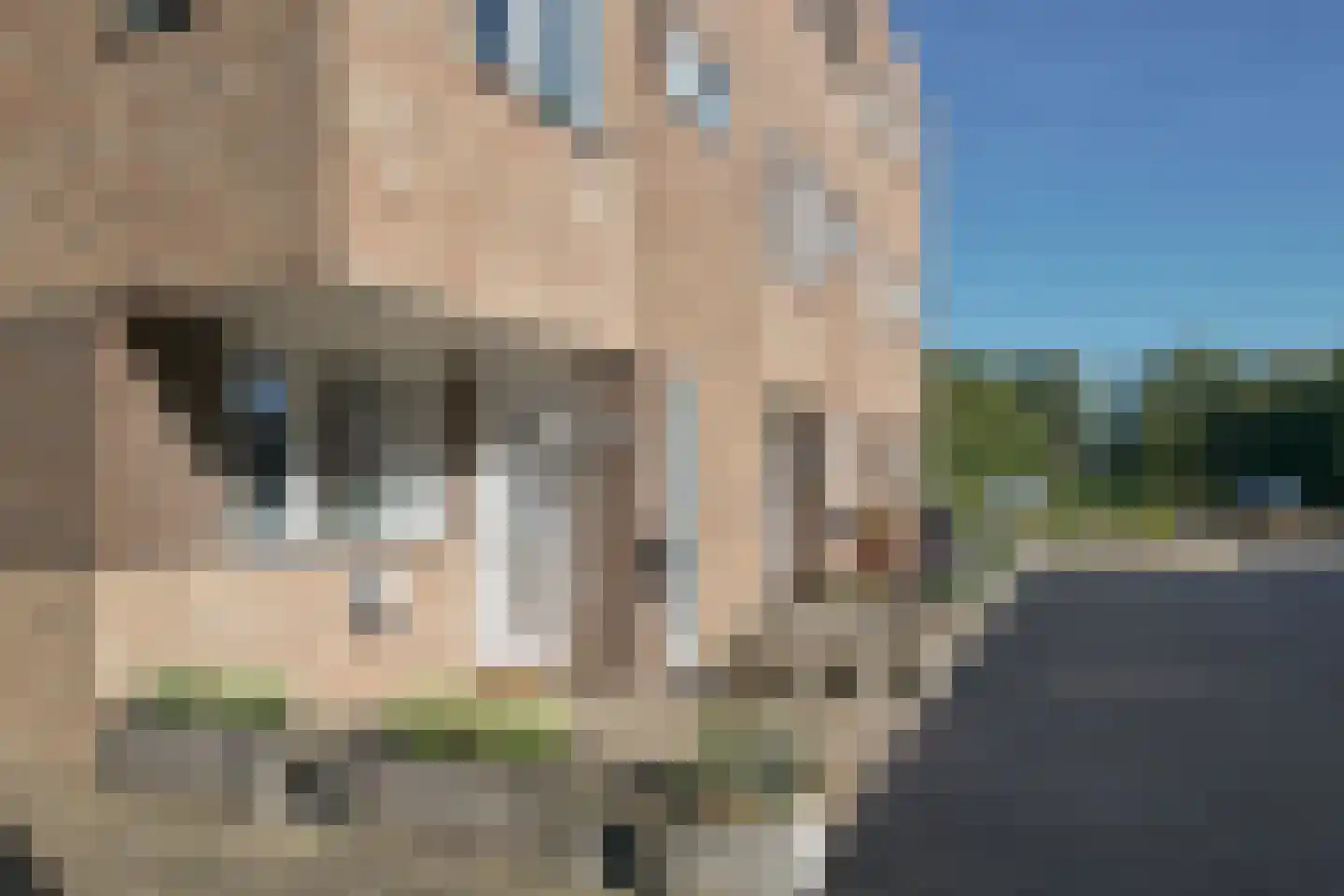 De Fink 3 Joure thumbnail 31