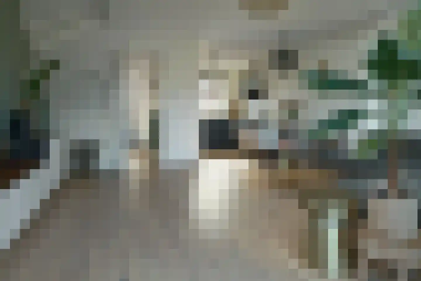 De Fink 3 Joure thumbnail 5