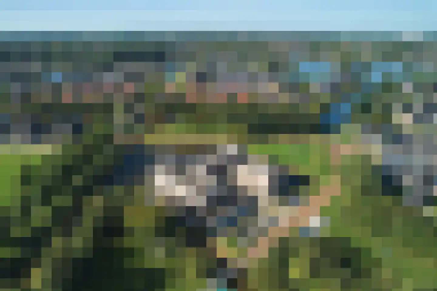 De Fink 3 Joure thumbnail 7