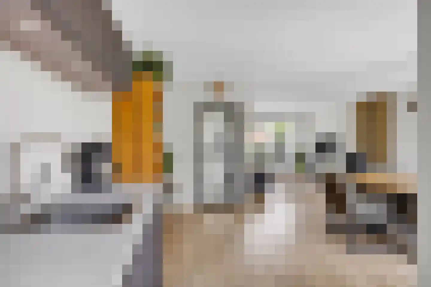 De Finne 10 Makkum thumbnail 17
