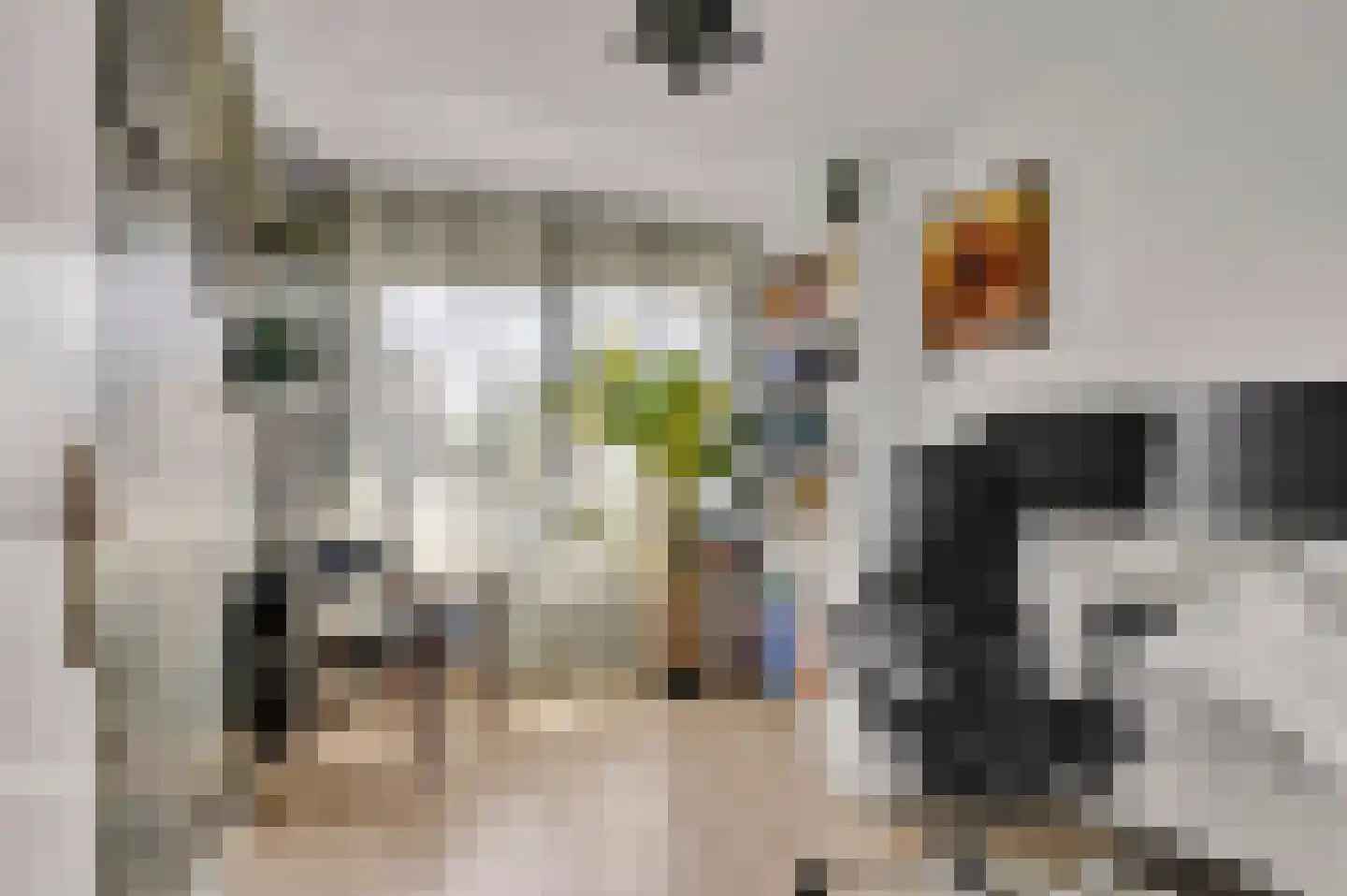 De Finne 10 Makkum thumbnail 18
