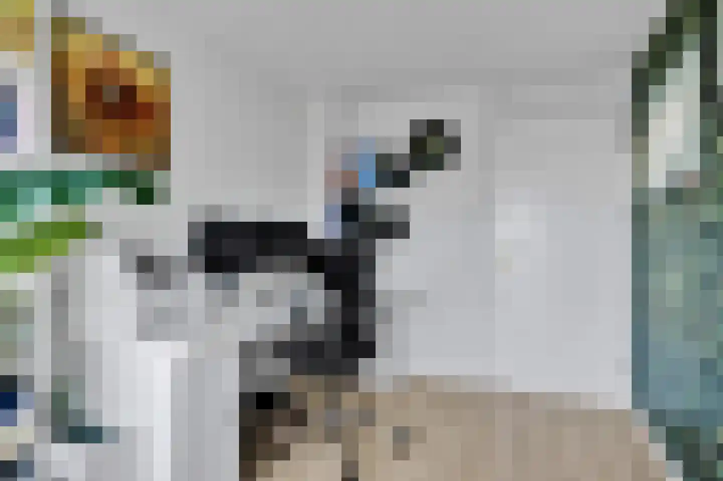 De Finne 10 Makkum thumbnail 19