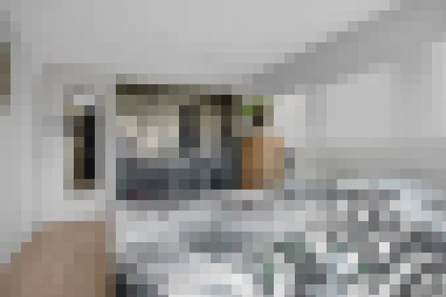 De Finne 10 Makkum thumbnail 21