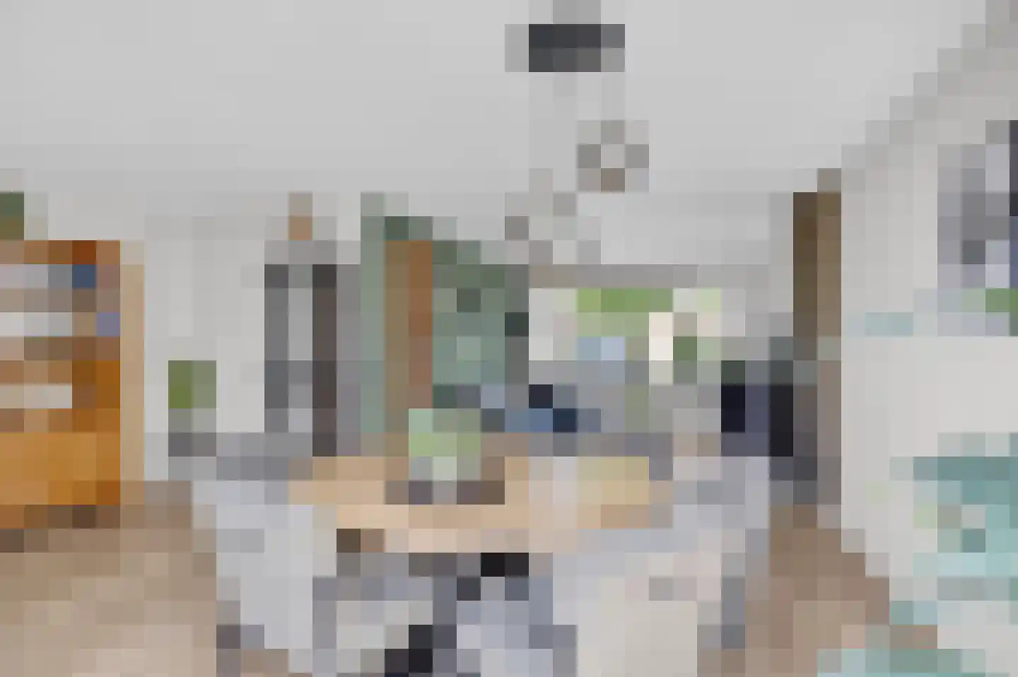 De Finne 10 Makkum thumbnail 9
