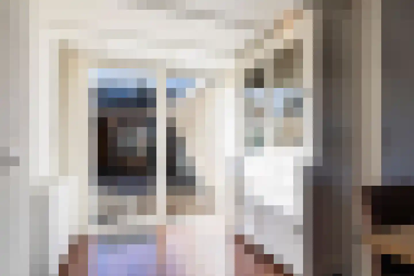 De Finne 12 Sexbierum thumbnail 16