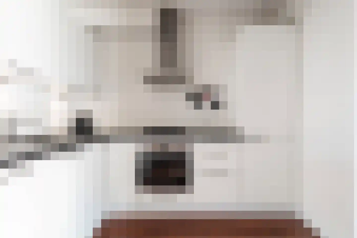 De Finne 12 Sexbierum thumbnail 19
