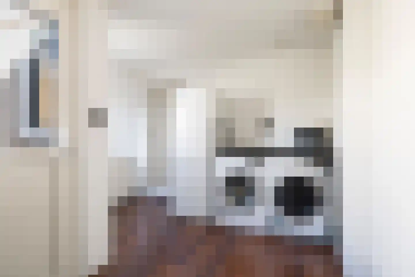 De Finne 12 Sexbierum thumbnail 20