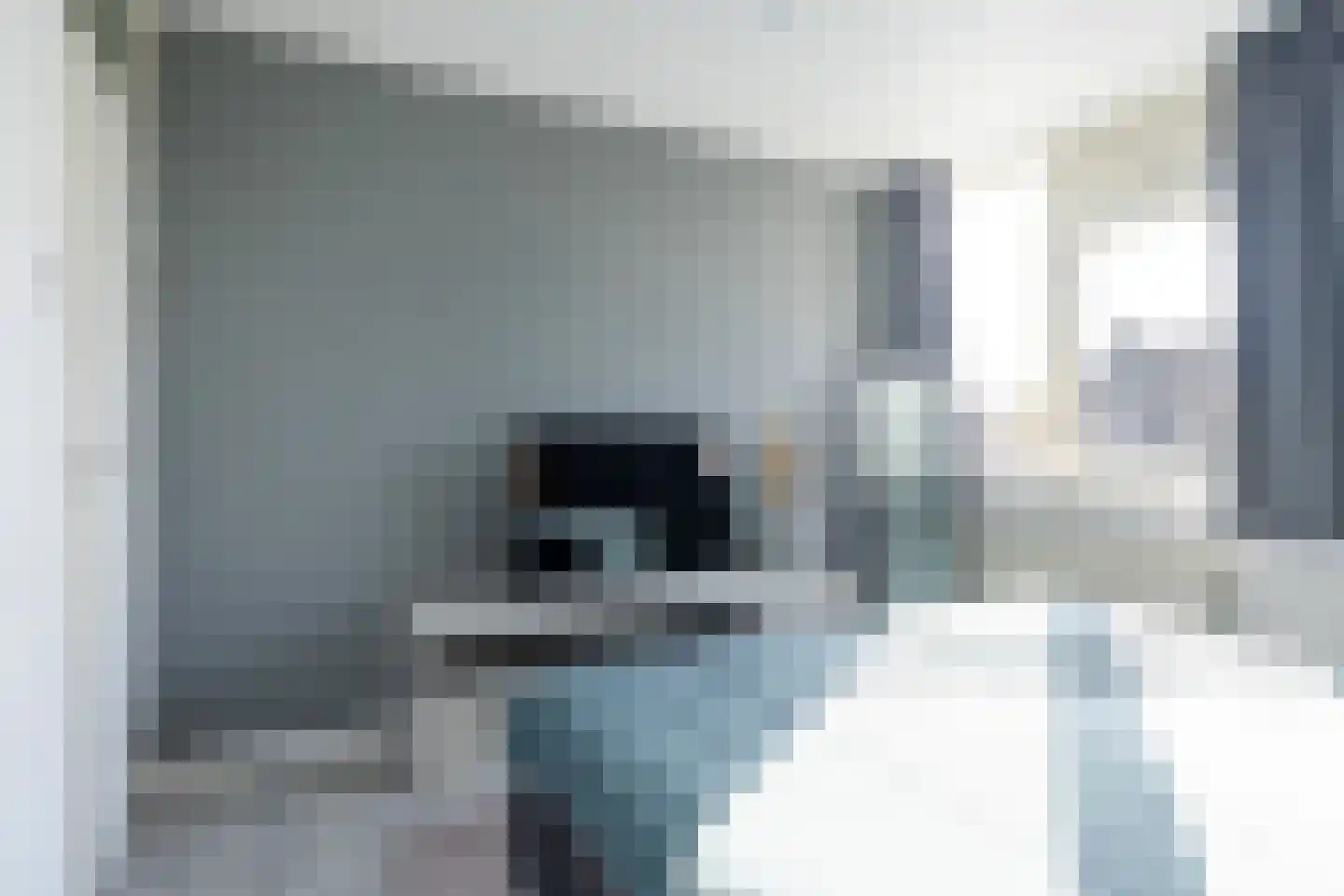 De Finne 12 Sexbierum thumbnail 23