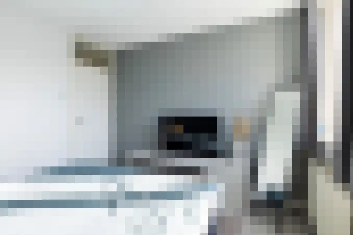 De Finne 12 Sexbierum thumbnail 24